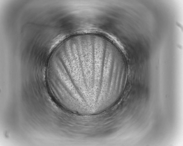 X0000093750010200710301133