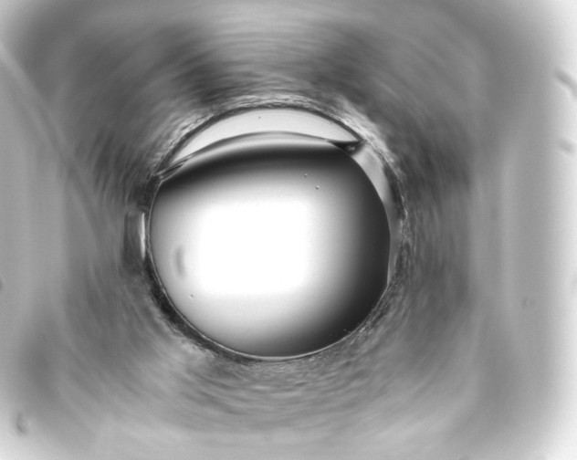 X0000093750013200710301133