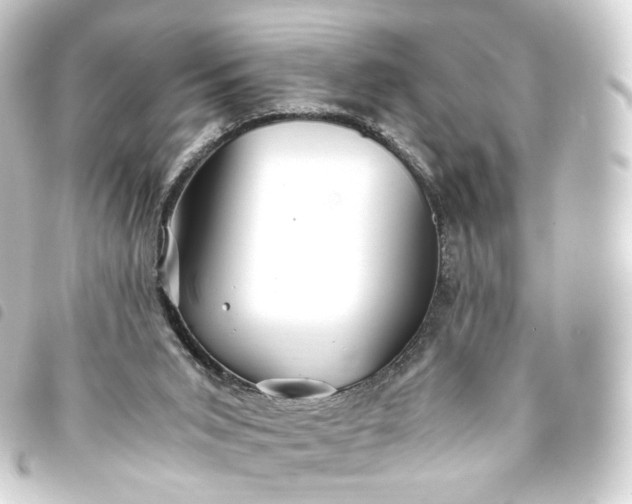 X0000093750015200710301133