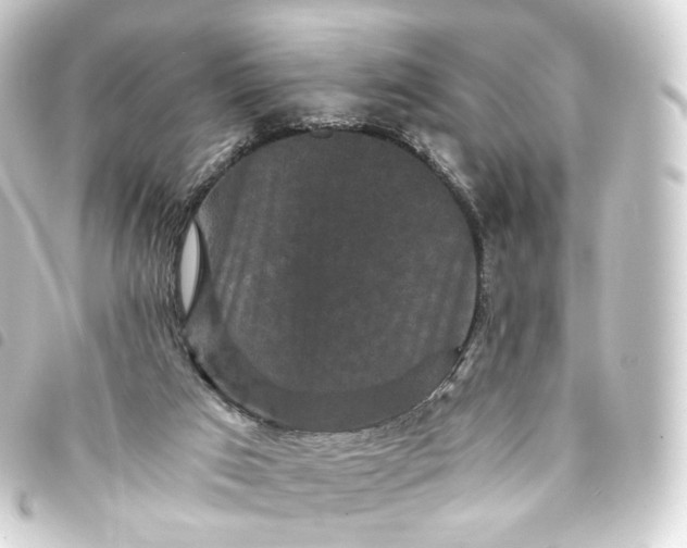 X0000093750017200710301133