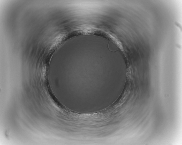 X0000093750018200710301133