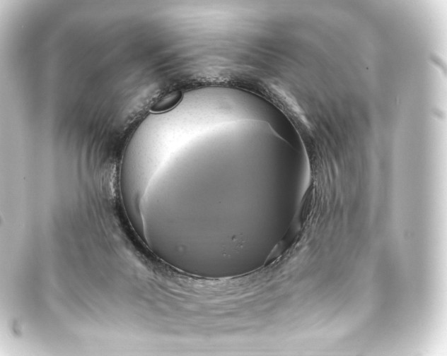 X0000093750023200710301133