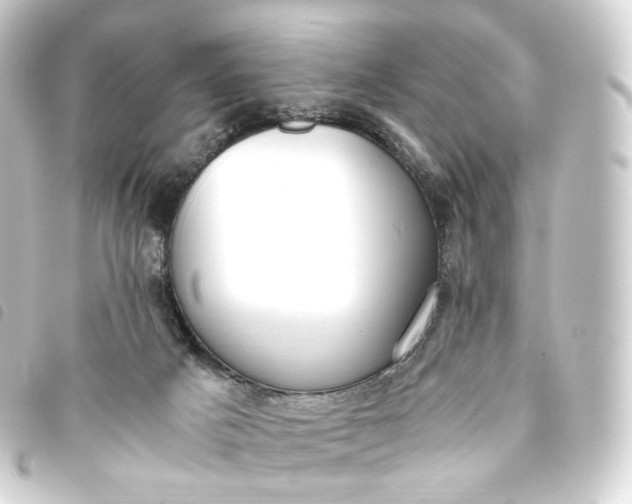 X0000093750025200710301133
