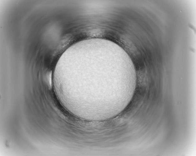 X0000093750028200710301133