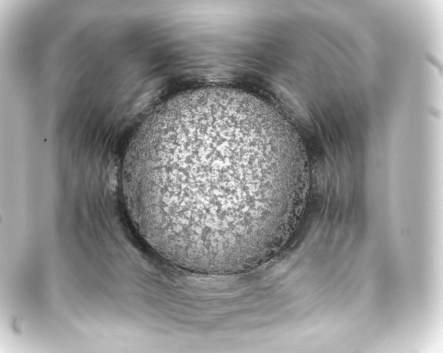 X0000093750032200710301133