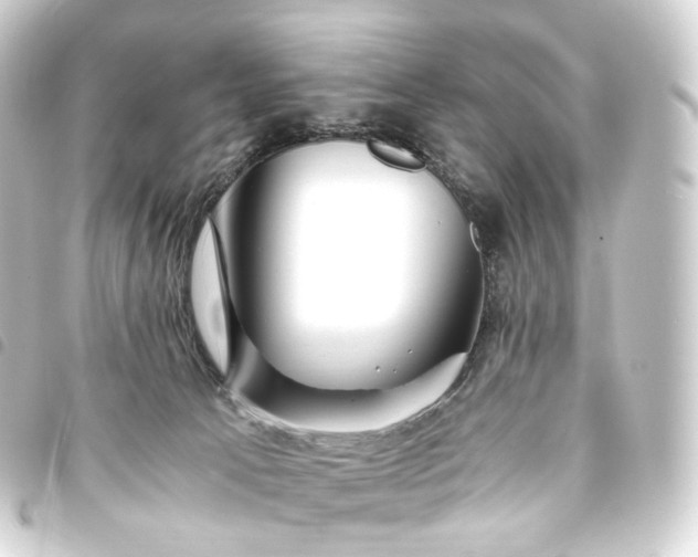 X0000093750033200710301133
