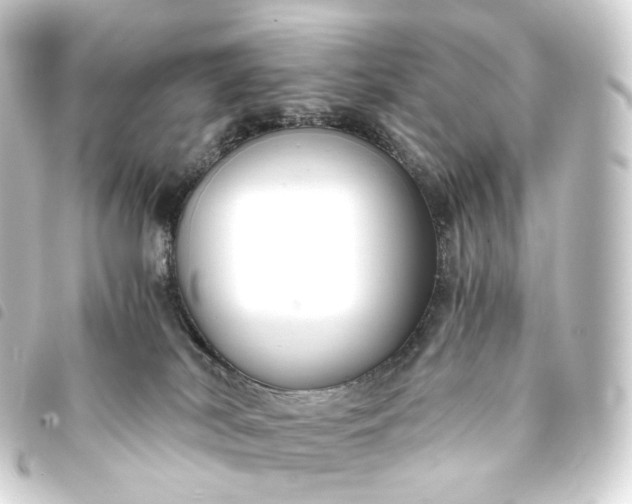 X0000093750038200710301133