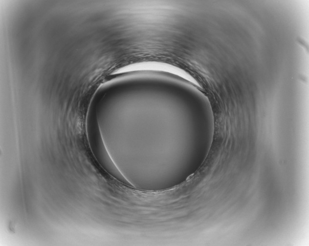 X0000093750039200710301133