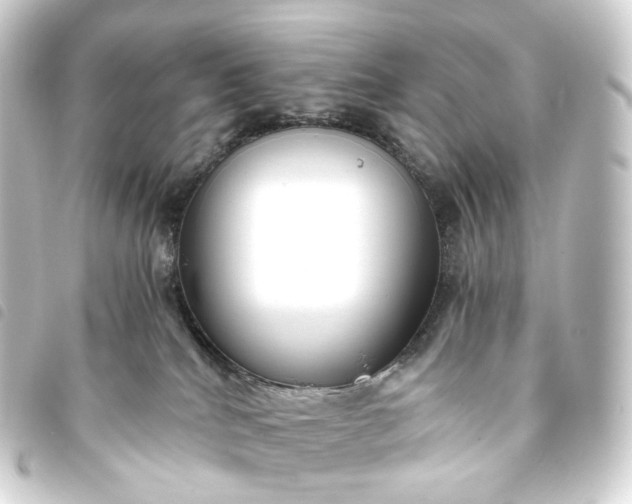 X0000093750040200710301133