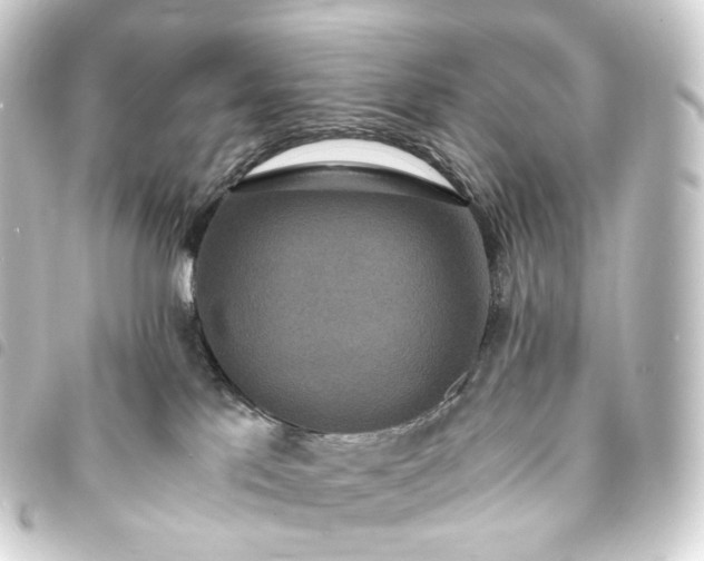 X0000093750041200710301133