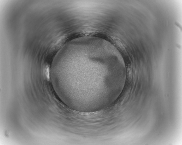 X0000093750042200710301133