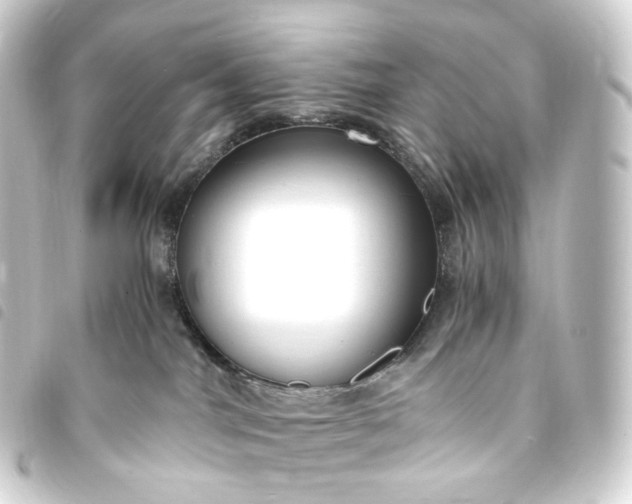 X0000093750044200710301133