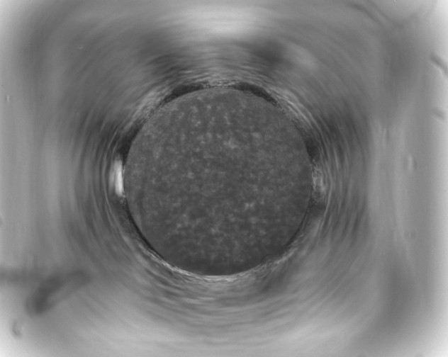X0000093750046200710301133