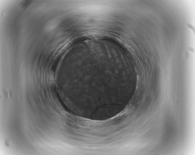 X0000093750048200710301133