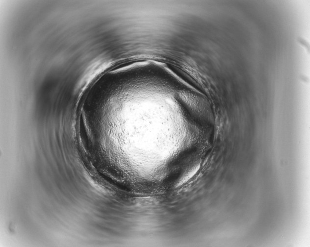 X0000093750050200710301132