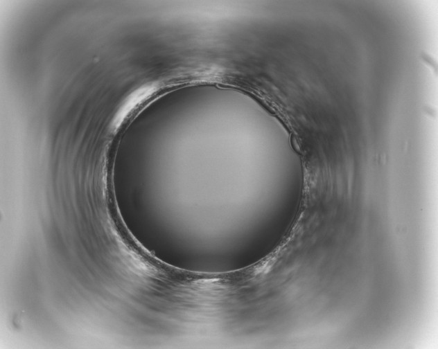 X0000093750054200710301132