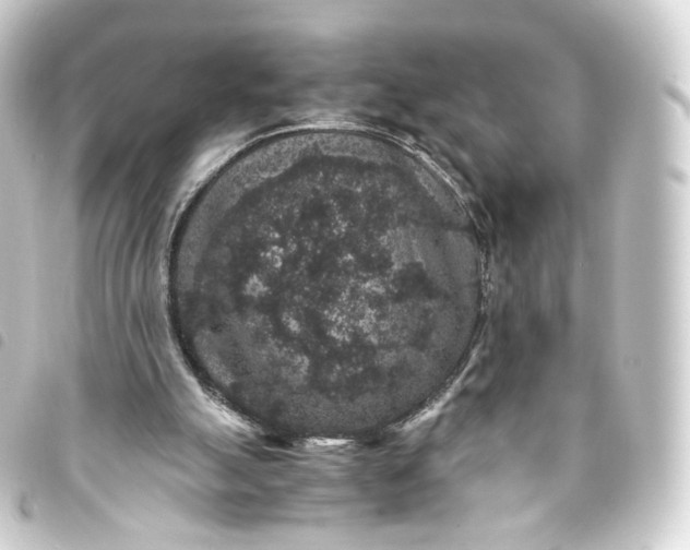 X0000093750055200710301132
