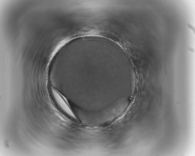 X0000093750056200710301132