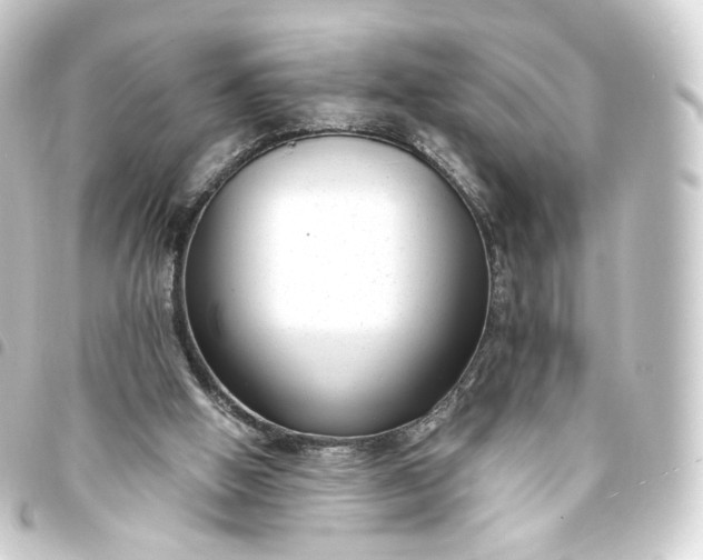 X0000093750058200710301132