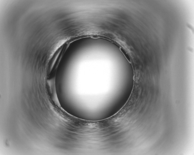 X0000093750060200710301132