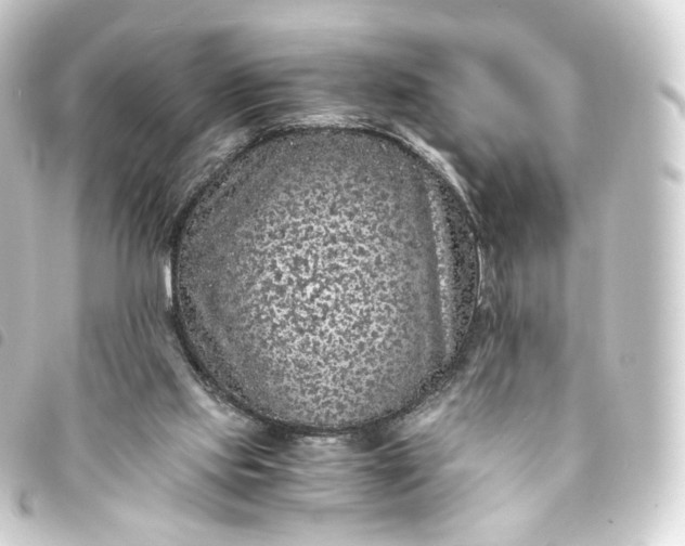 X0000093750061200710301132