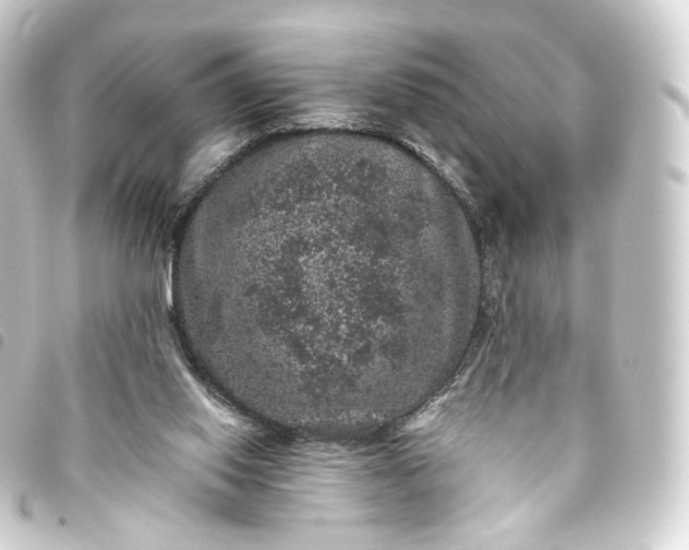X0000093750062200710301132