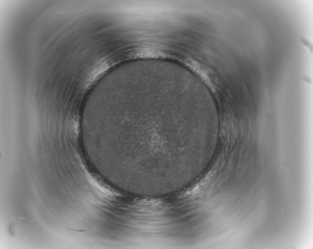 X0000093750063200710301132