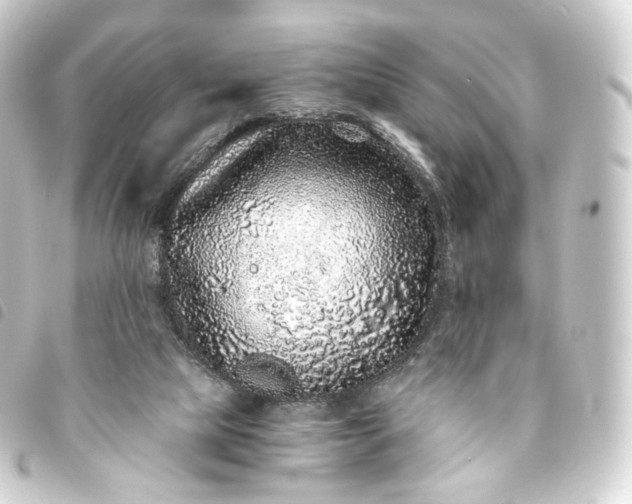 X0000093750065200710301132