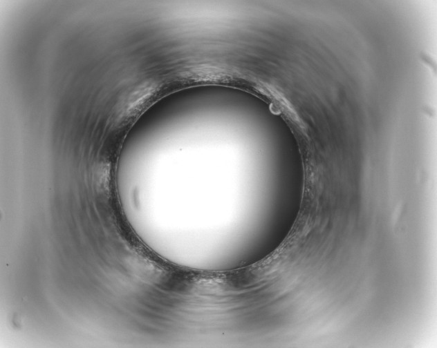 X0000093750066200710301132