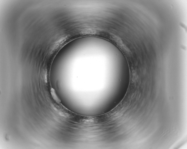 X0000093750068200710301132