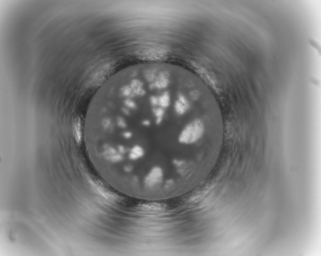 X0000093750069200710301132