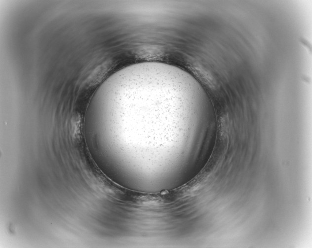 X0000093750073200710301133