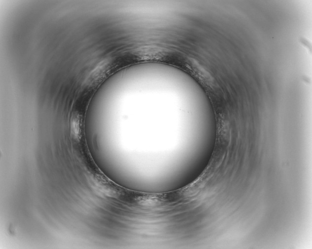 X0000093750074200710301133
