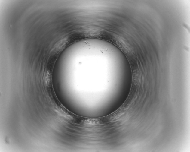 X0000093750077200710301133
