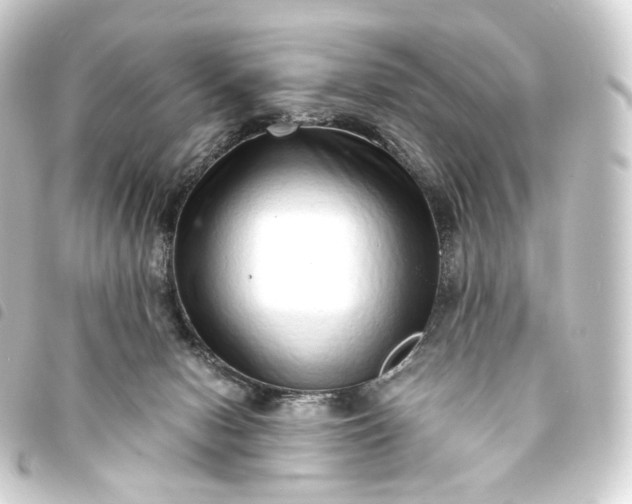 X0000093750078200710301133