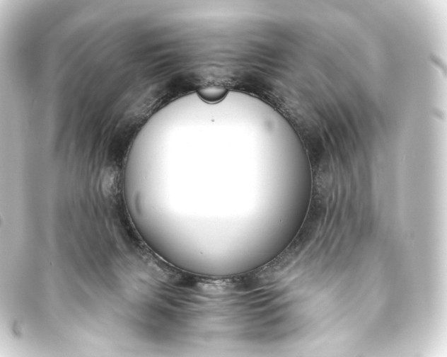 X0000093750079200710301133