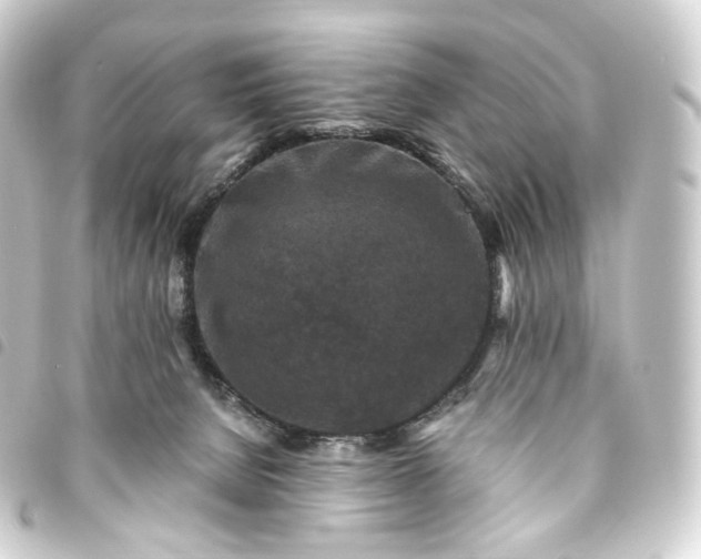 X0000093750080200710301133