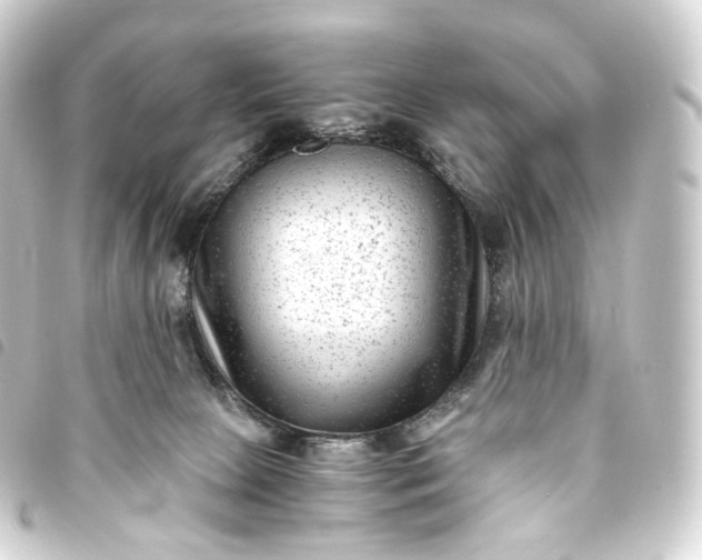 X0000093750081200710301133