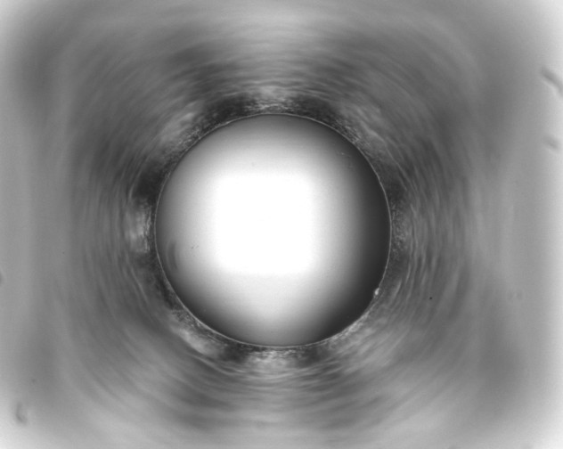 X0000093750082200710301133