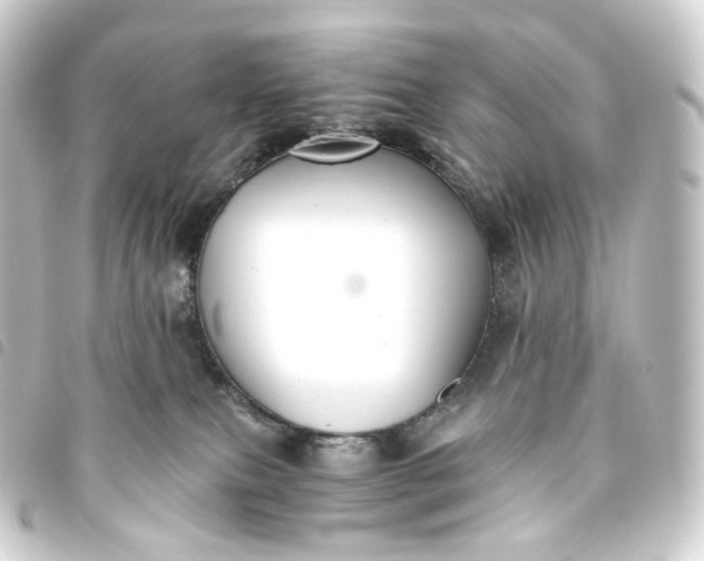 X0000093750087200710301133