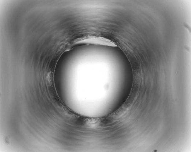 X0000093750088200710301133