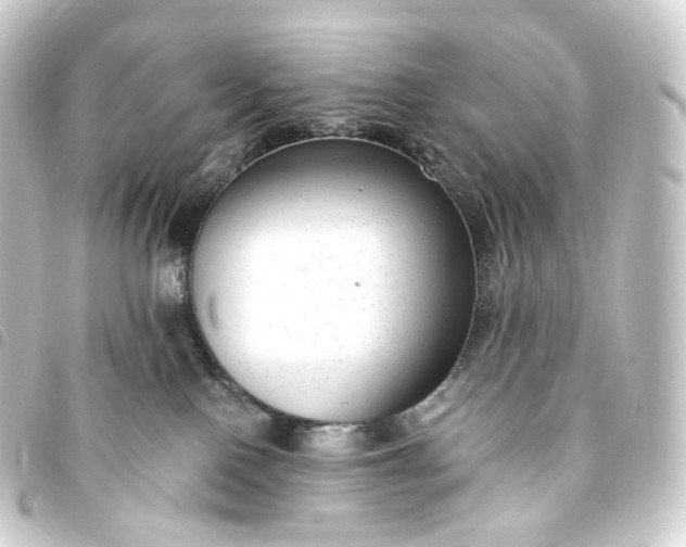 X0000093750090200710301133
