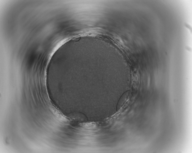X0000093750100200710301132