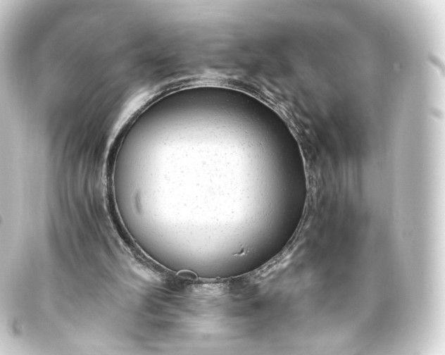 X0000093750102200710301132