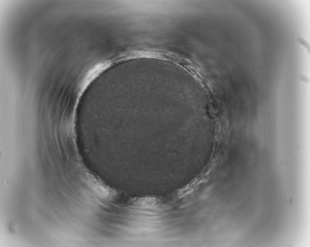X0000093750104200710301132