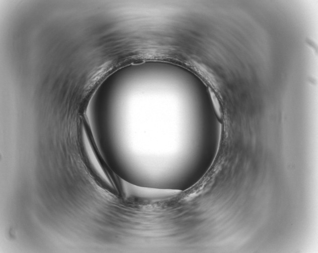 X0000093750105200710301132