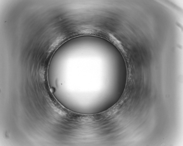X0000093750106200710301132