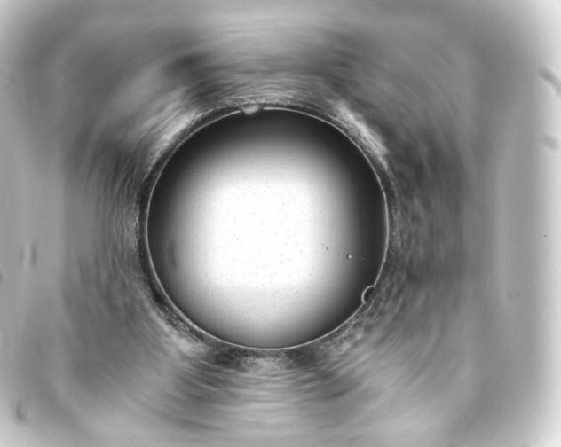 X0000093750107200710301132
