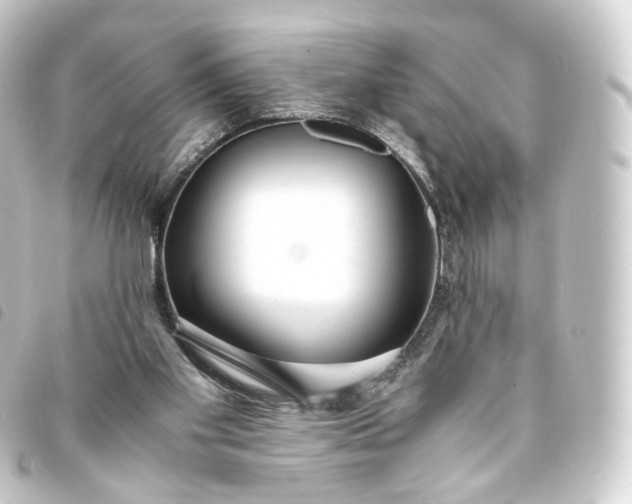 X0000093750109200710301132