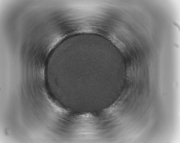 X0000093750112200710301132